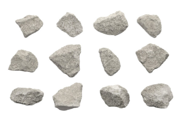 12 Pack - Zoolitic Limestone Sedimentary Rock Specimens - Approx. 1"