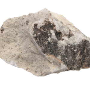 Raw Volcanic Tuff Igneous Rock Specimen - Hand Sample - Approx. 3"
