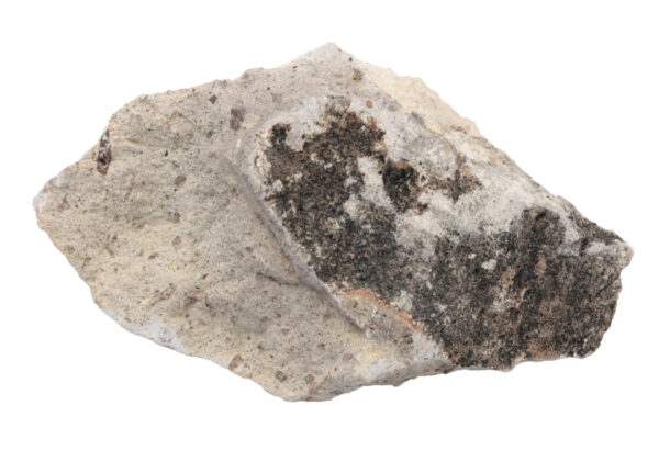 Raw Volcanic Tuff Igneous Rock Specimen - Hand Sample - Approx. 3"