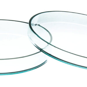 Petri Dish - 120 x 20mm - Soda Glass
