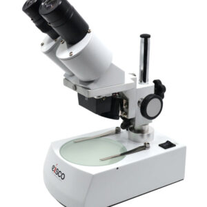 Stereoscopic Microscope - Binocular Head Inclined at 45 Degrees, Fitted with Adjustable Pillar, Cover Included - Eisco Labs