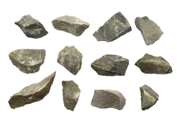 Eisco Argillaceous Shale Specimen (Sedimentary Rock) Approx. 1" (3cm) - Pack of 12