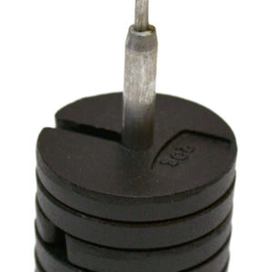 Eisco Labs Set of 9 20g Weights on Hanger - For Physics Experiments