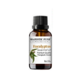 Majestic Pure Eucalyptus Essential Oil 10ml