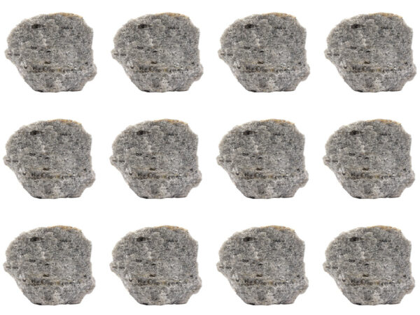 12PK Raw Mica Schist, Metamorphic Rock Specimens - Approx. 1" - Geologist Selected & Hand Processed - Great for Science Classrooms - Class Pack - Eisco Labs