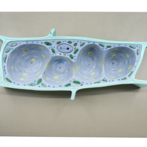 Plant Cell Model, Three Dimensional, Sectional View with Hand Painted Details - Mounted on Base, 13" x 9" - Eisco Labs