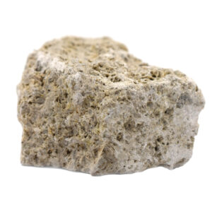 Raw Fossiliferous Limestone, Sedimentary Rock Specimen - Approx. 1" - Geologist Selected & Hand Processed - Great for Science Classrooms - Eisco Labs