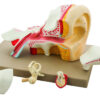 Eisco 4x Life-Size Premium Human Ear Model 5 Parts