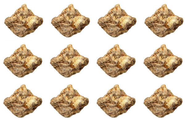 12PK Raw Talc, Mineral Specimens - Approx. 1" - Geologist Selected & Hand Processed - Great for Science Classrooms - Class Pack - Eisco Labs