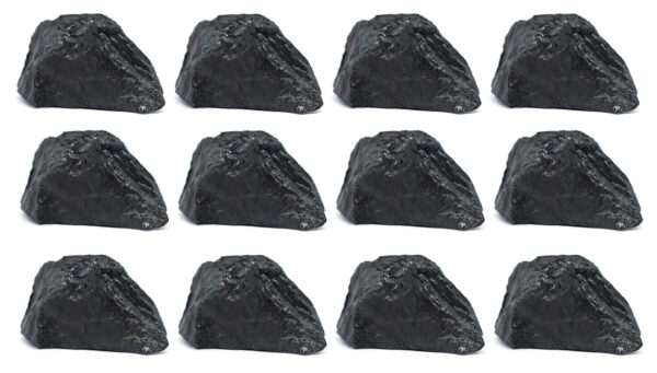12PK Bituminous Coal Rock Specimen 1" - Geologist Selected - Eisco Labs