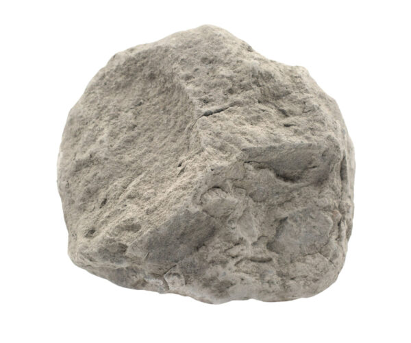 Raw Limestone Chalk Sedimentary Rock Specimen - Approx. 3" - Hand Sample