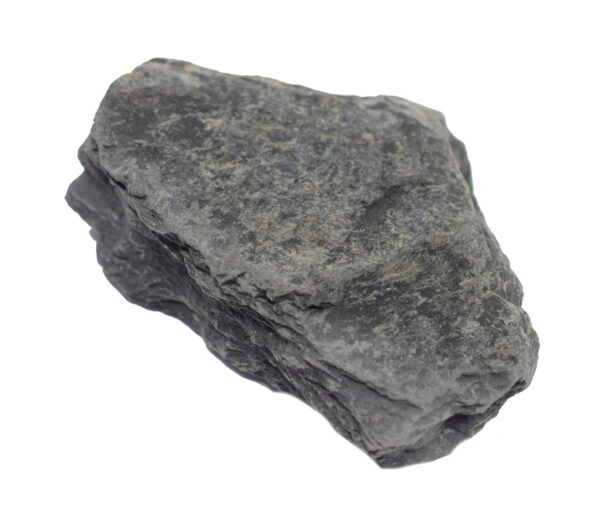 Raw Carbonaceous Shale Sedimentary Rock Specimen - Approx. 1"