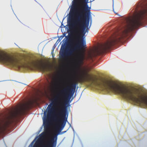 Crossed Colored Threads - Prepared Microscope Slide - 75x25mm