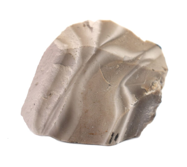 Raw Chert Mineral Specimen 1" - Geologist Selected Samples - Eisco Labs