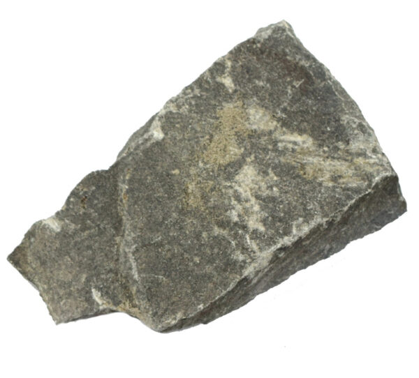 Eisco Argillaceous Shale Specimen (Sedimentary Rock) Approx. 1" (3cm)