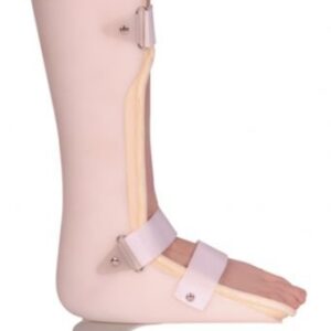 Posterior Leaf Spring