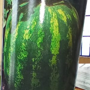 Watermelon Koloss F1 | 50g