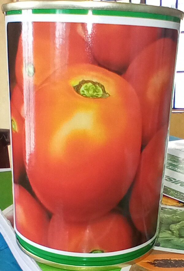 Tomato Lindo F1 | Treated Seed | 50g