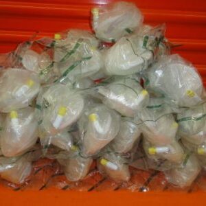 hospira receptal disposable liner