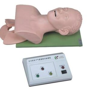 buy Electronic Trachea Intubation Training Model best price in nigeria from Allschoolabs.com