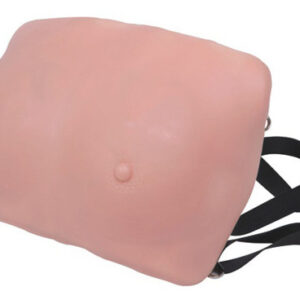 buy Breast Examination Model best price in nigeria from Allschoolabs.com