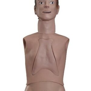 buy Nasogastric Feeding and Trachea Intubation Care Training Simulator best price in nigeria from Allschoolabs.com