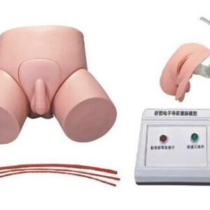 buy Electronic Urethra catheterization  and Enema Model best price in nigeria from myAllschoolabs.com