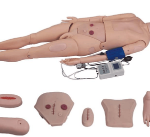 buy Full-functional Nursing Manikin(Blood Pressure Simulator (Blood Pressure Simulator) best price in nigeria from Allschoolabs.com