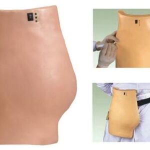 buy Electronic Buttocks Injection Training Model best price in nigeria from Allschoolabs.com