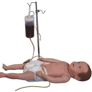 buy Infant Full Body Venipuncture Model best price in nigeria from Allschoolabs.com