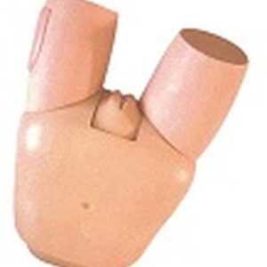 buy Fundus of Uterus Exam & Evaluation Model best price in nigeria from Allschoolabs.com