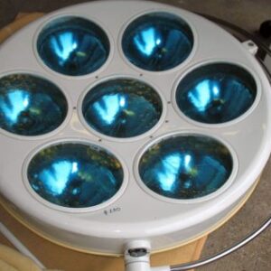 heraeus hanaulux theatre lights