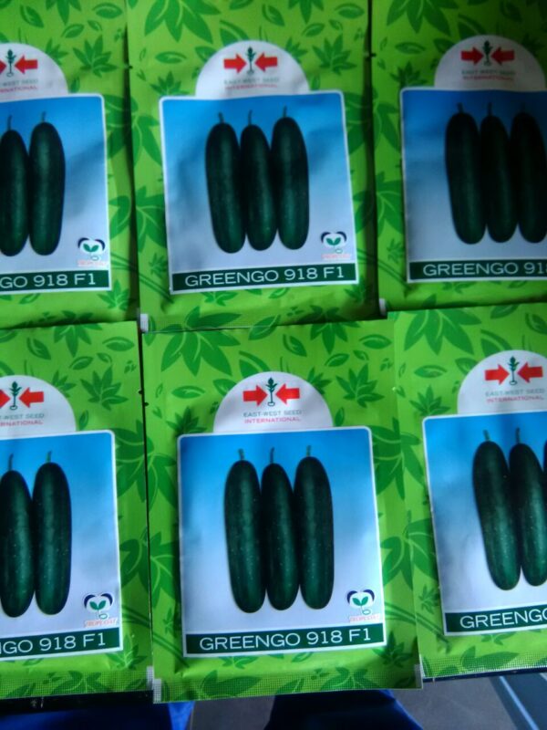 Greengo 918 F1 Cucumber Seeds (500 Seeds | 1000 Seeds)
