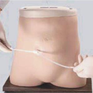 buy Peritoneal Dialysis Model best price in nigeria from Allschoolabs.com