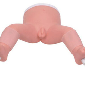 buy Infant Bone Marrow Puncture Model best price in nigeria from Allschoolabs.com