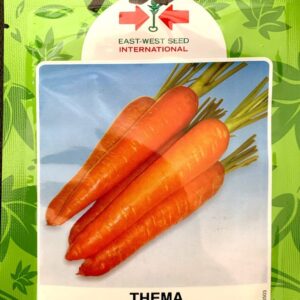 Thema Carrot Seeds (East West Seed Brand | 10g Sachet)