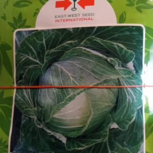 Nuzaka F1 Cabbage Seeds (East West Seed Brand | 1000 Seeds)