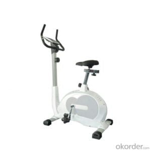 MAGNETIC BIKE