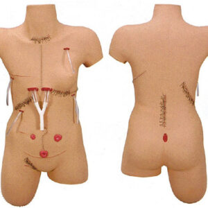 buy Surgical Suture and Bandage Model best price in nigeria from Allschoolabs.com