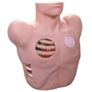buy Thoracentesis Drainage Model best price in nigeria from Allschoolabs.com