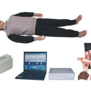 buy CPR650 CPR,Trauma Training Manikin best price in nigeria from Allschoolabs.com