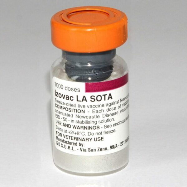 LaSota Vaccine (Small Dose Vials | 100 | 200) + Transport Flask