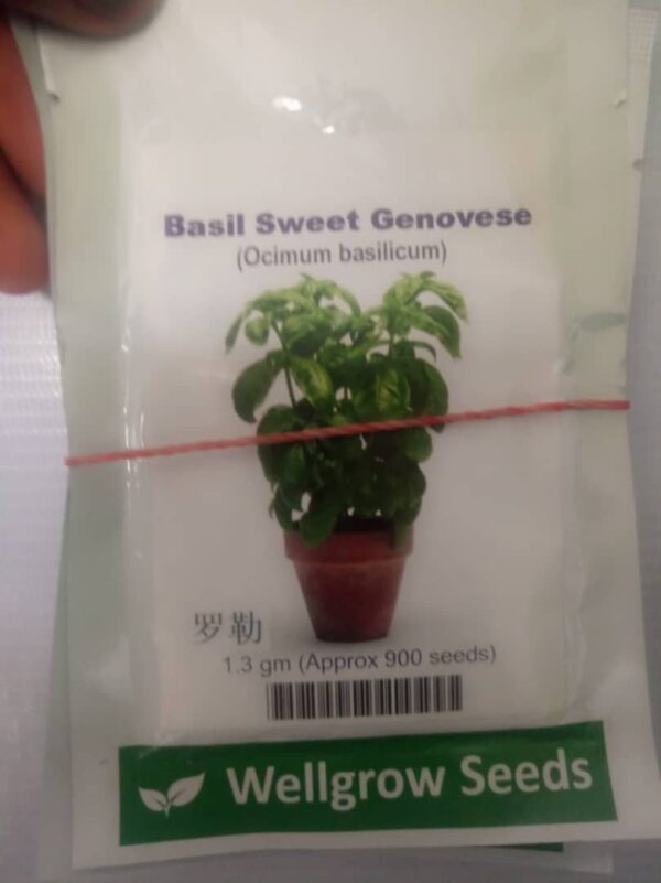Basil Sweet Genovese | 900 seeds