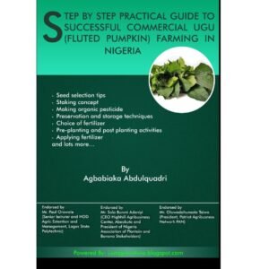 STEP BY STEP PRACTICAL GUIDE TO SUCCESSFUL COMMERCIAL UGU (FLUTED PUMPKIN) FARMING