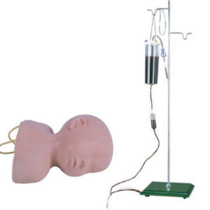 buy Infant Scalp Venipuncture Training Model best price in nigeria from Allschoolabs.com
