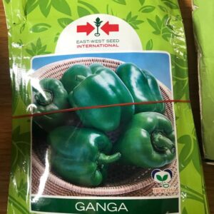 Ganga Sweet Pepper|10g