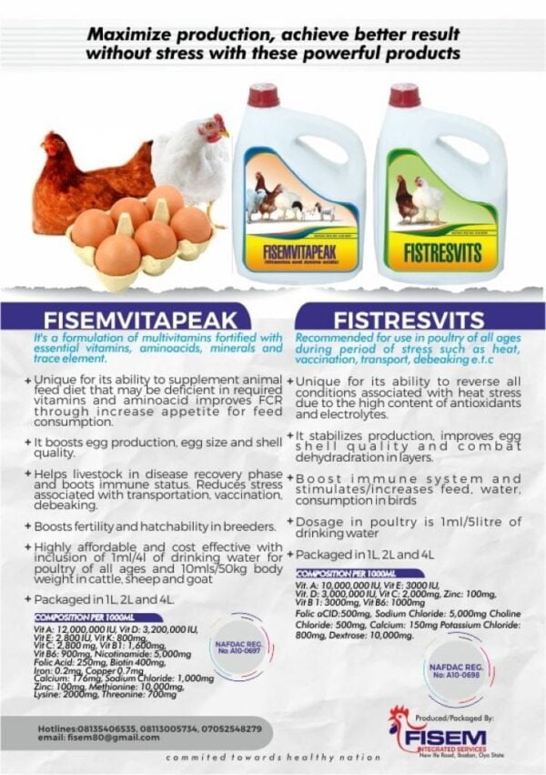 Fisemvitapeak (1L | 2L | 4L)