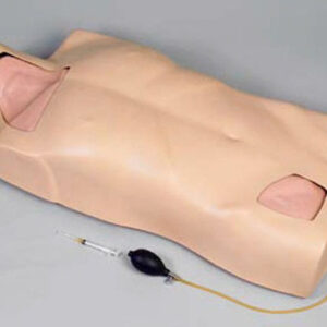 buy Full-function Central Venous Injection Torso Model best price in nigeria from myAllschoolabs.com