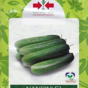 Nandini F1 Cucumber Seeds (East West Seed Brand | 10g)