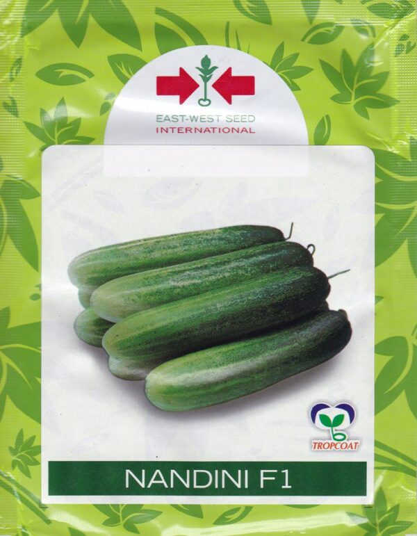 Nandini F1 Cucumber Seeds (East West Seed Brand | 10g)